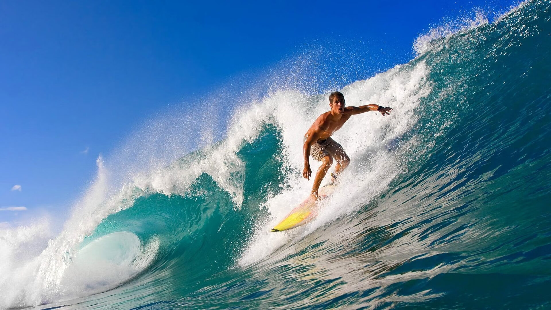 开云世界杯-当德甲陷入鏖战，篮球场已见分晓，胜利的公式与失败的启示